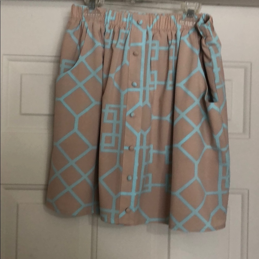 Skirt from Francesca’s